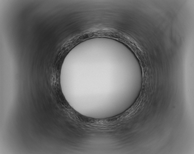 X0000116450966200912081411