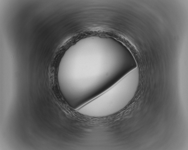 X0000116450968200912081411