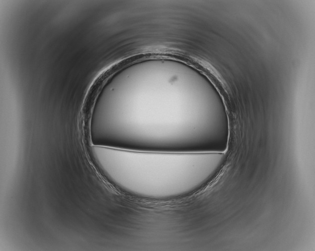 X0000116450971200912081411