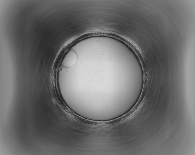 X0000116450974200912081411