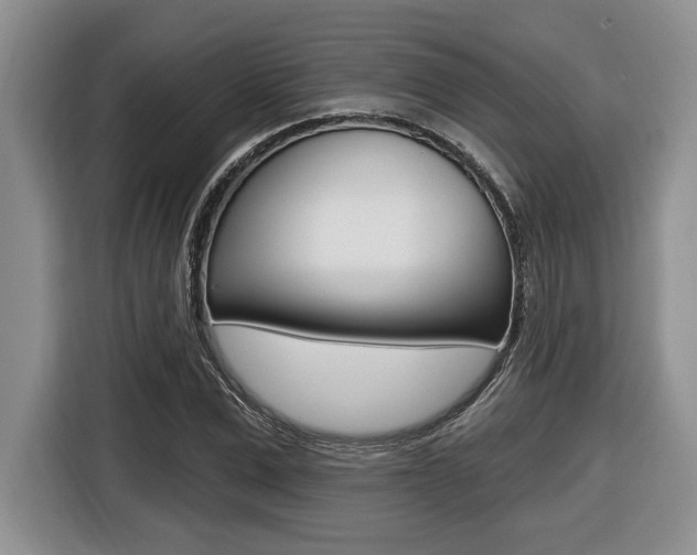 X0000116450975200912081411
