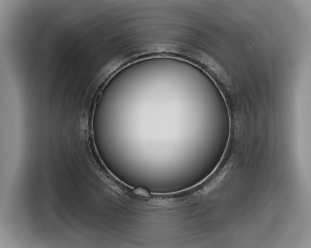 X0000116450977200912081410