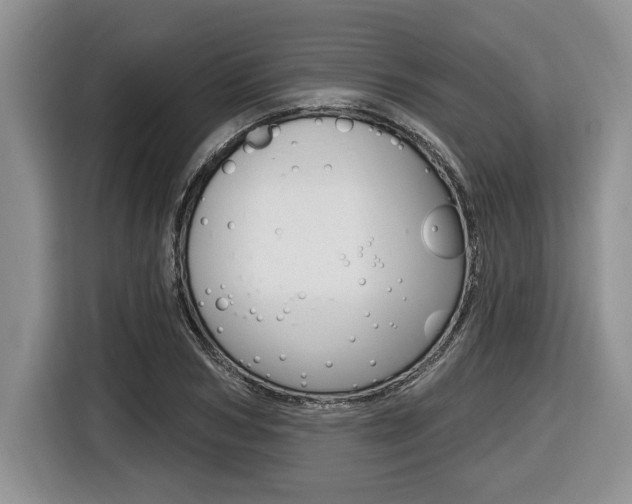 X0000116450978200912081410
