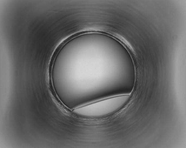 X0000116450980200912081410