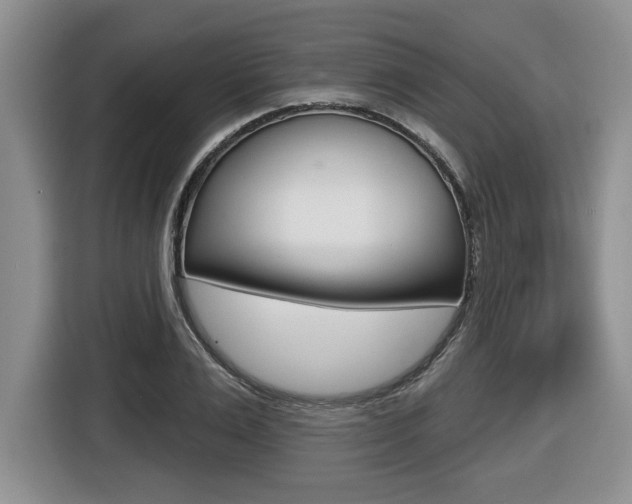 X0000116450983200912081410