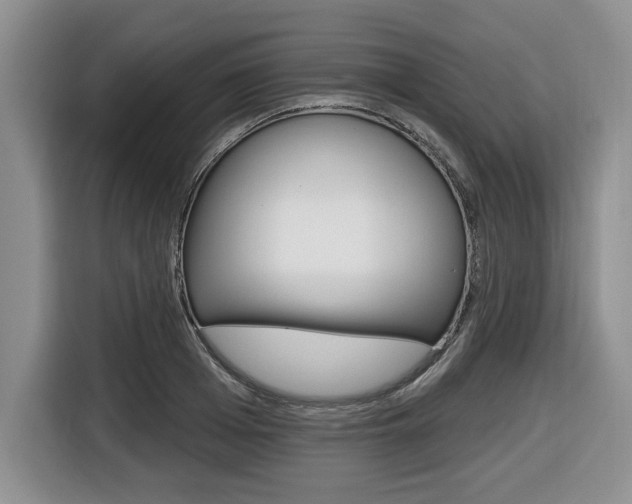 X0000116450985200912081410