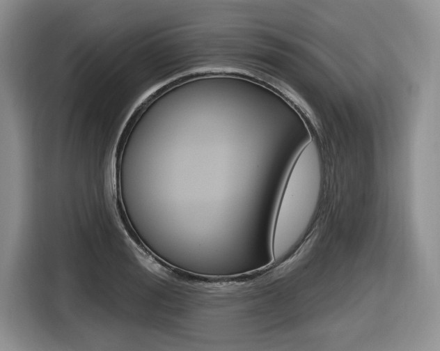 X0000116450988200912081410