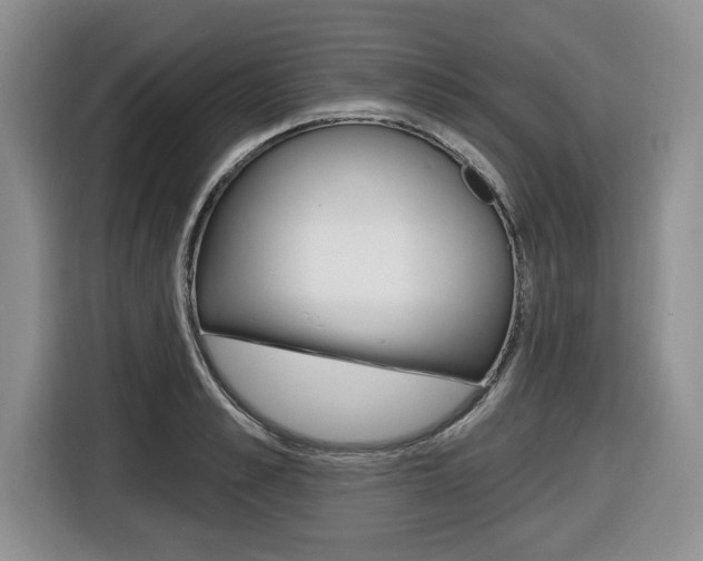 X0000116450989200912081410