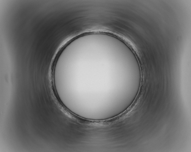 X0000116450990200912081410