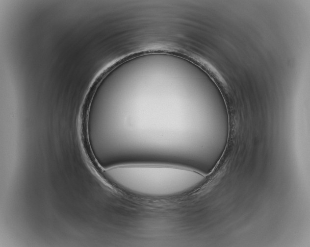 X0000116450991200912081410