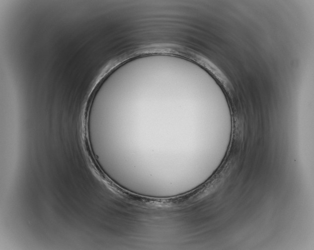 X0000116450994200912081410