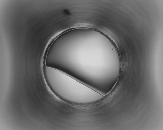 X0000116450995200912081410