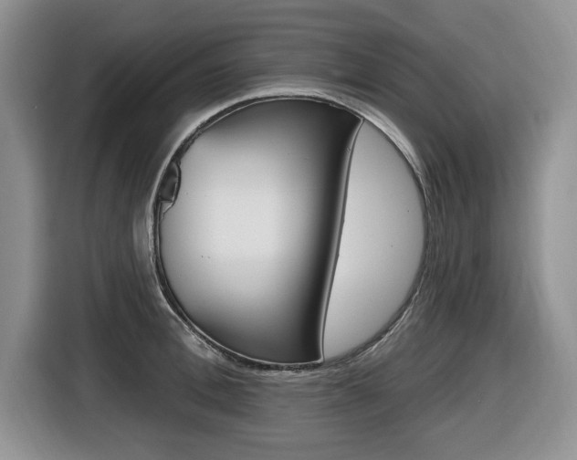 X0000116450996200912081410