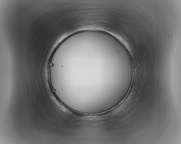 X0000116450998200912081410