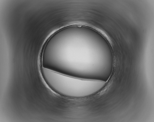 X0000116450999200912081410