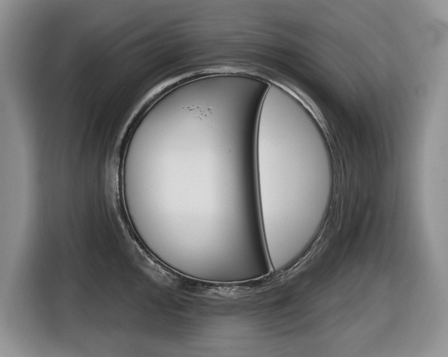 X0000116451000200912081410