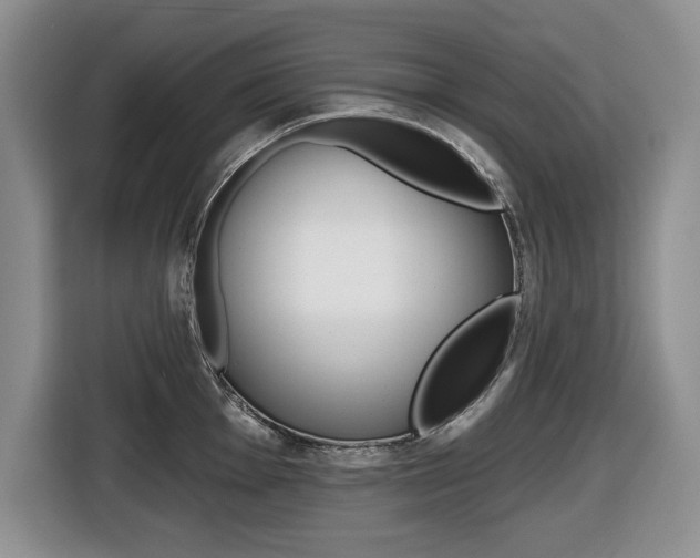 X0000116451001200912081410