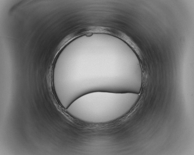 X0000116451002200912081410