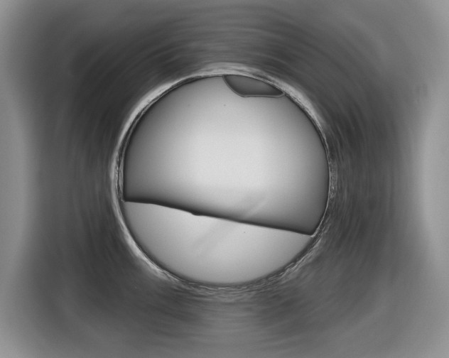 X0000116451003200912081410