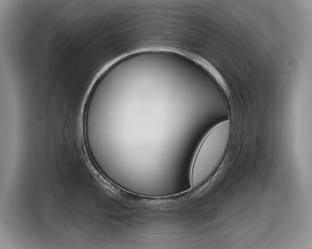 X0000116451004200912081410