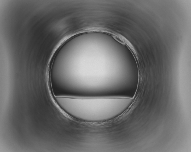 X0000116451005200912081410