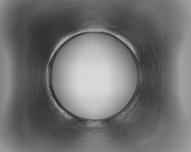 X0000116451006200912081410
