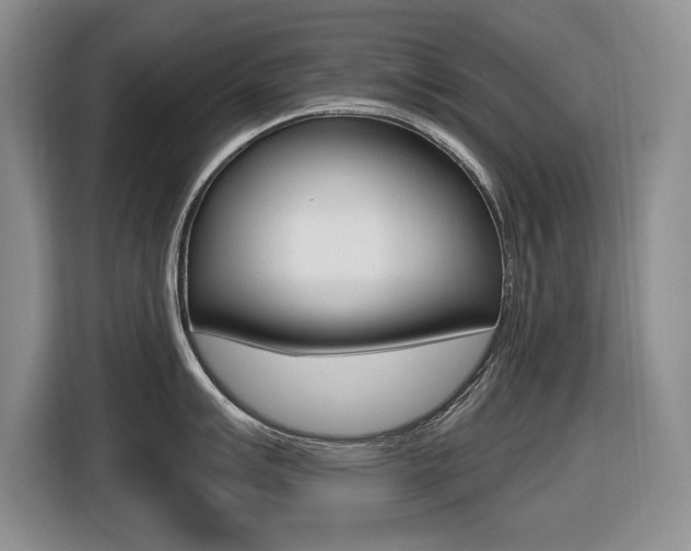X0000116451007200912081410