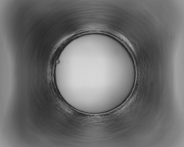 X0000116451019200912081410