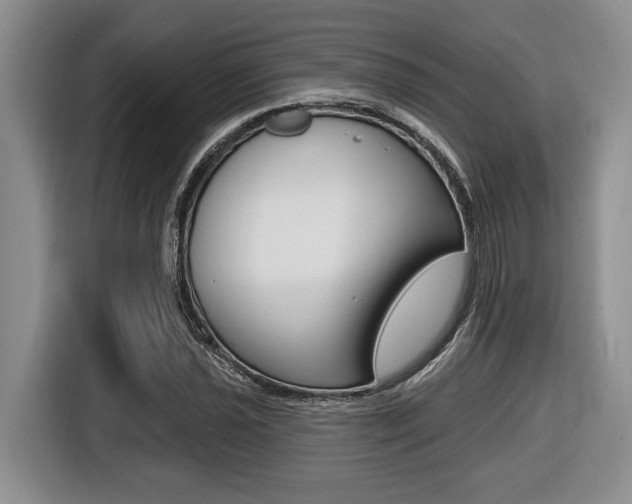 X0000116451021200912081410