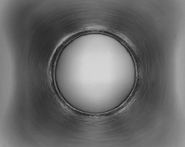 X0000116451022200912081410