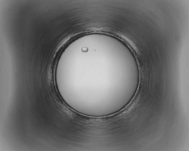 X0000116451023200912081410