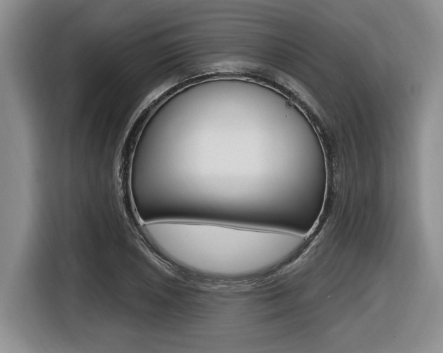 X0000116451026200912081410