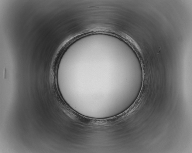 X0000116451027200912081410