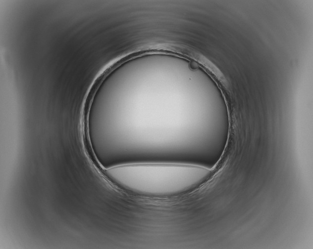 X0000116451028200912081410