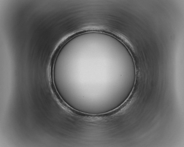 X0000116451030200912081410