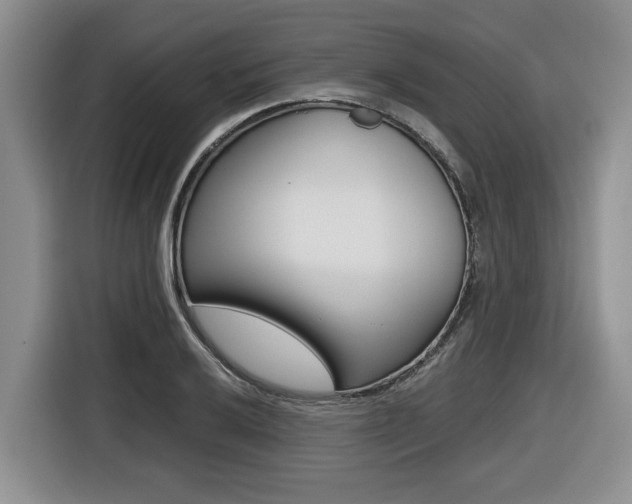 X0000116451032200912081410