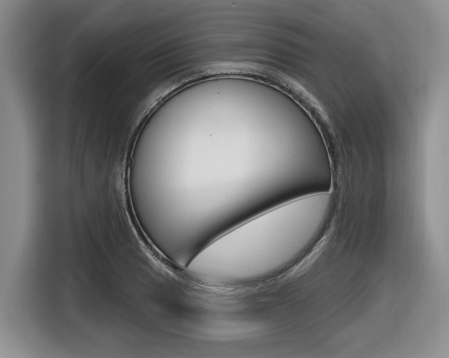 X0000116451033200912081410