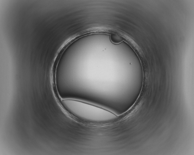 X0000116451034200912081410