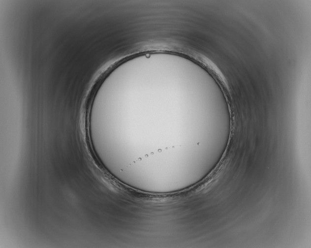X0000116451035200912081410