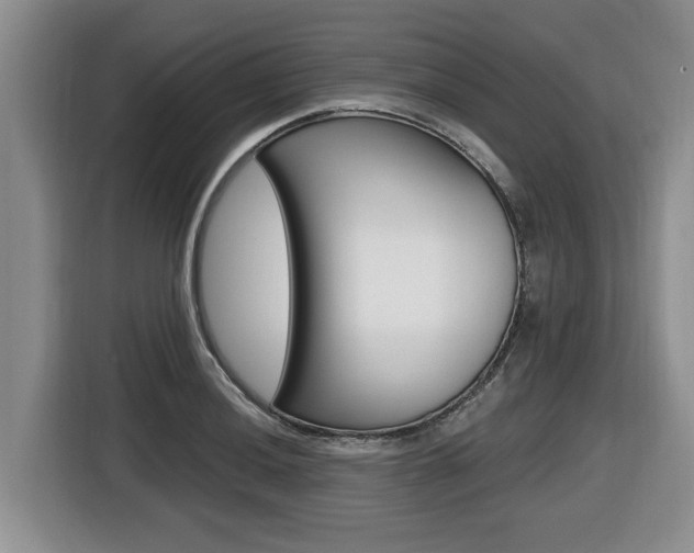 X0000116451036200912081410