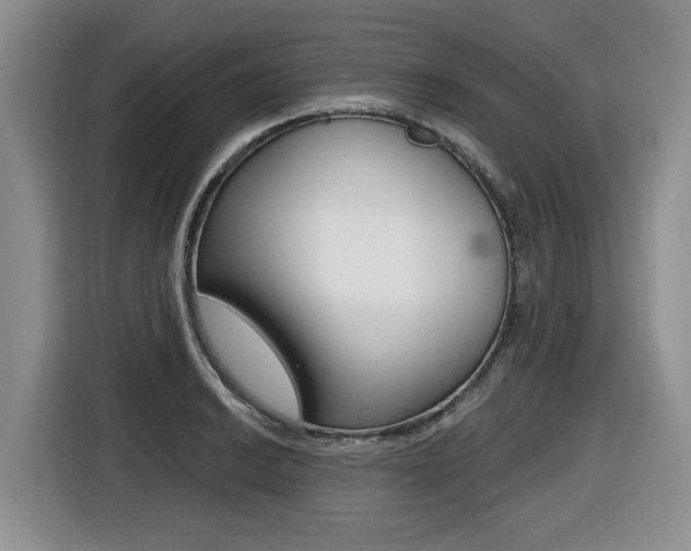 X0000116451038200912081410
