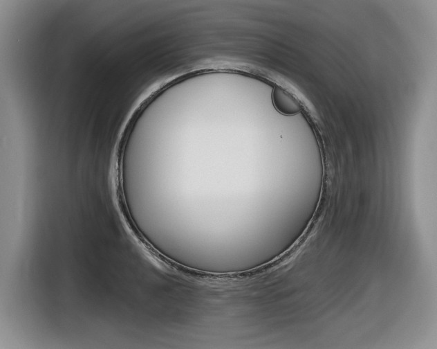 X0000116451040200912081410