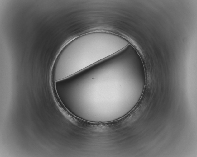 X0000116451042200912081410