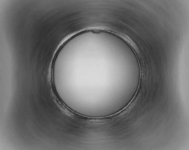 X0000116451044200912081410