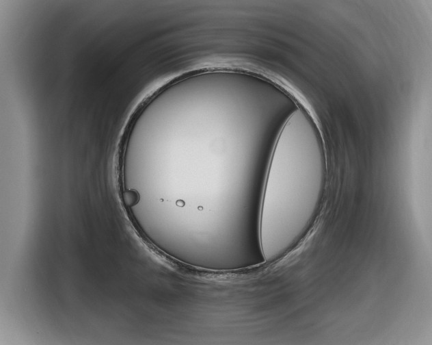 X0000116451045200912081410