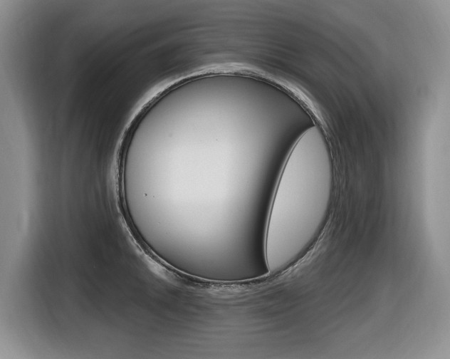 X0000116451046200912081410