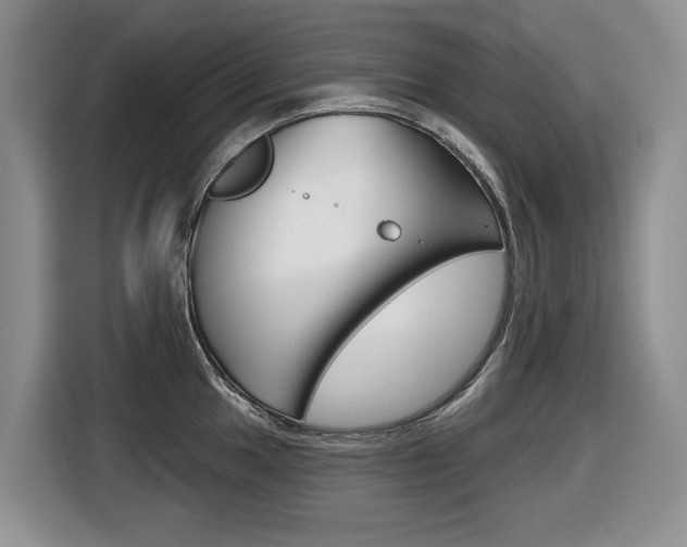X0000116451049200912081410