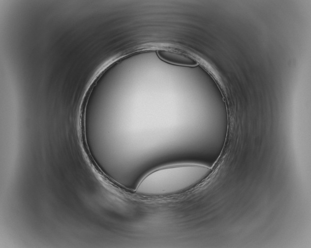 X0000116451050200912081410