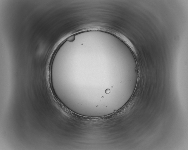 X0000116451051200912081410