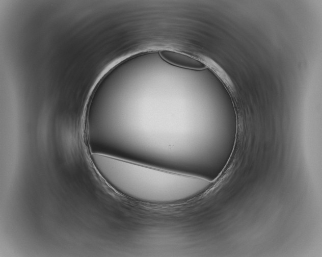 X0000116451052200912081410